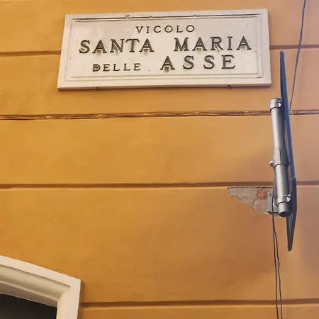 Dei Gallucci