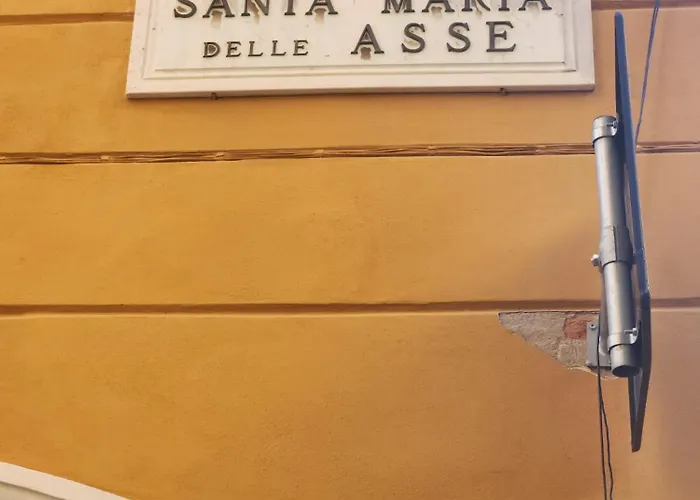 Dei Gallucci